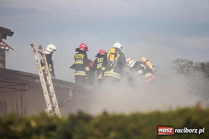 Zdjęcie w galerii na portalu naszraciborz.pl: Pożar stodoły w Borucinie. Podczas akcji strażacy musieli ewakuować zwierzęta wiadomości z regionu
