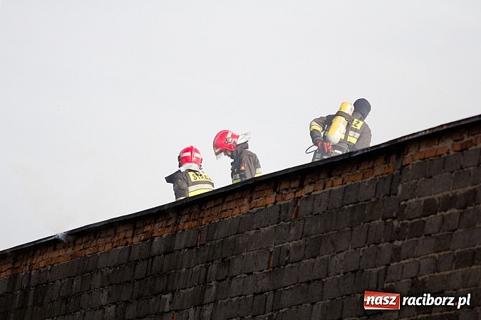 Zdjęcie w galerii na portalu naszraciborz.pl: Pożar stodoły w Borucinie. Podczas akcji strażacy musieli ewakuować zwierzęta wiadomości z regionu