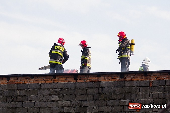 Zdjęcie w galerii na portalu naszraciborz.pl: Pożar stodoły w Borucinie. Podczas akcji strażacy musieli ewakuować zwierzęta wiadomości z regionu