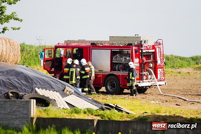 Zdjęcie w galerii na portalu naszraciborz.pl: Pożar stodoły w Borucinie. Podczas akcji strażacy musieli ewakuować zwierzęta wiadomości z regionu