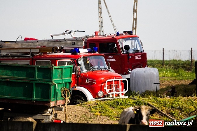 Zdjęcie w galerii na portalu naszraciborz.pl: Pożar stodoły w Borucinie. Podczas akcji strażacy musieli ewakuować zwierzęta wiadomości z regionu
