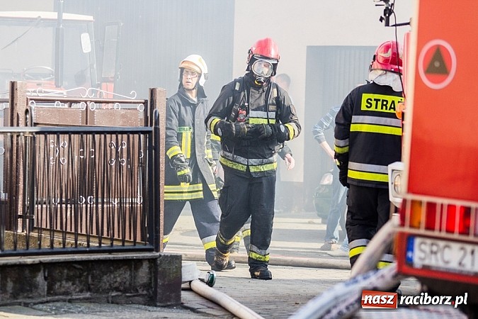 Zdjęcie w galerii na portalu naszraciborz.pl: Pożar stodoły w Borucinie. Podczas akcji strażacy musieli ewakuować zwierzęta wiadomości z regionu