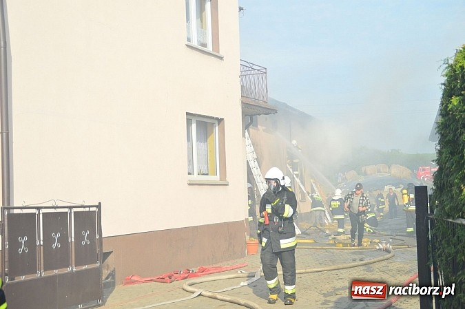 Zdjęcie w galerii na portalu naszraciborz.pl: Pożar stodoły w Borucinie. Podczas akcji strażacy musieli ewakuować zwierzęta wiadomości z regionu