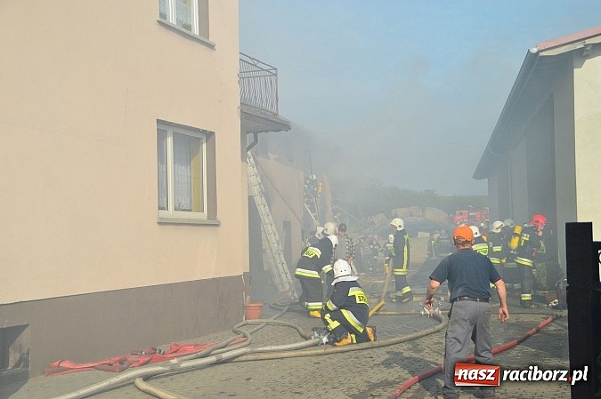 Zdjęcie w galerii na portalu naszraciborz.pl: Pożar stodoły w Borucinie. Podczas akcji strażacy musieli ewakuować zwierzęta wiadomości z regionu