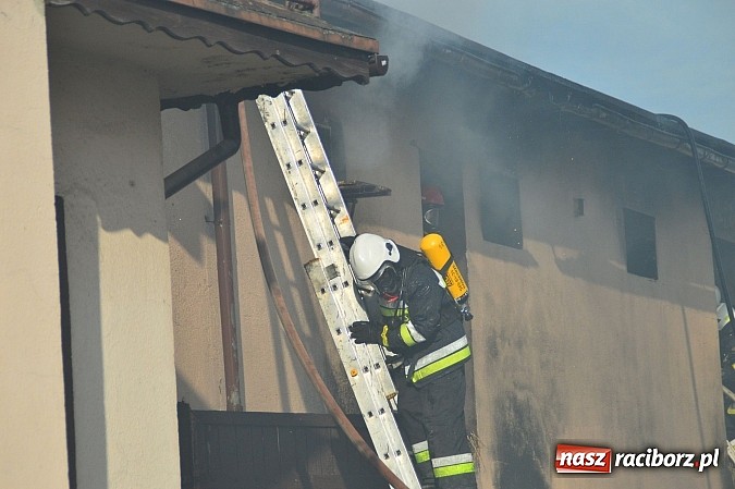 Zdjęcie w galerii na portalu naszraciborz.pl: Pożar stodoły w Borucinie. Podczas akcji strażacy musieli ewakuować zwierzęta wiadomości z regionu