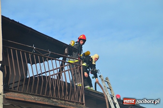 Zdjęcie w galerii na portalu naszraciborz.pl: Pożar stodoły w Borucinie. Podczas akcji strażacy musieli ewakuować zwierzęta wiadomości z regionu