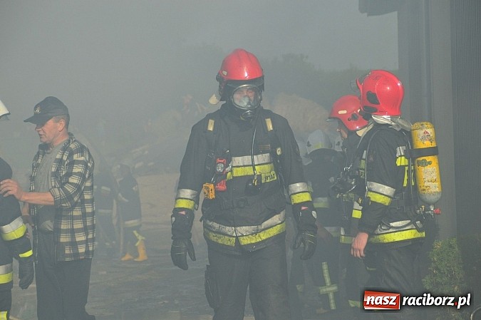 Zdjęcie w galerii na portalu naszraciborz.pl: Pożar stodoły w Borucinie. Podczas akcji strażacy musieli ewakuować zwierzęta wiadomości z regionu