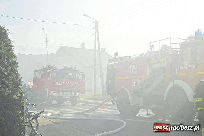 Zdjęcie w galerii na portalu naszraciborz.pl: Pożar stodoły w Borucinie. Podczas akcji strażacy musieli ewakuować zwierzęta wiadomości z regionu