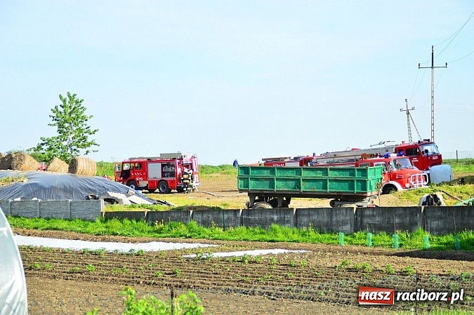 Zdjęcie w galerii na portalu naszraciborz.pl: Pożar stodoły w Borucinie. Podczas akcji strażacy musieli ewakuować zwierzęta wiadomości z regionu