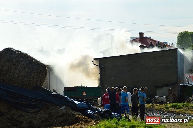 Zdjęcie w galerii na portalu naszraciborz.pl: Pożar stodoły w Borucinie. Podczas akcji strażacy musieli ewakuować zwierzęta wiadomości z regionu