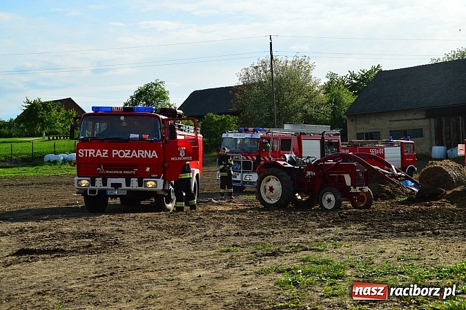 Zdjęcie w galerii na portalu naszraciborz.pl: Pożar stodoły w Borucinie. Podczas akcji strażacy musieli ewakuować zwierzęta wiadomości z regionu