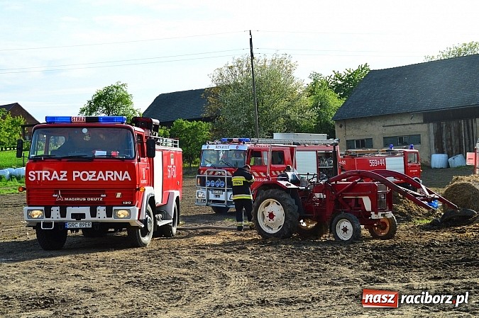 Zdjęcie w galerii na portalu naszraciborz.pl: Pożar stodoły w Borucinie. Podczas akcji strażacy musieli ewakuować zwierzęta wiadomości z regionu