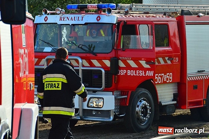 Zdjęcie w galerii na portalu naszraciborz.pl: Pożar stodoły w Borucinie. Podczas akcji strażacy musieli ewakuować zwierzęta wiadomości z regionu