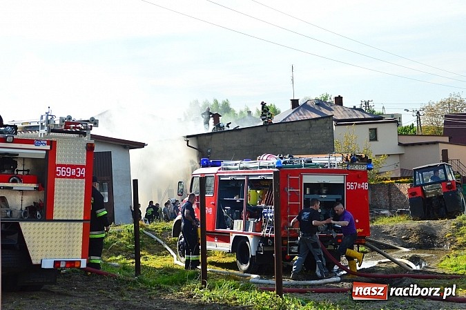 Zdjęcie w galerii na portalu naszraciborz.pl: Pożar stodoły w Borucinie. Podczas akcji strażacy musieli ewakuować zwierzęta wiadomości z regionu