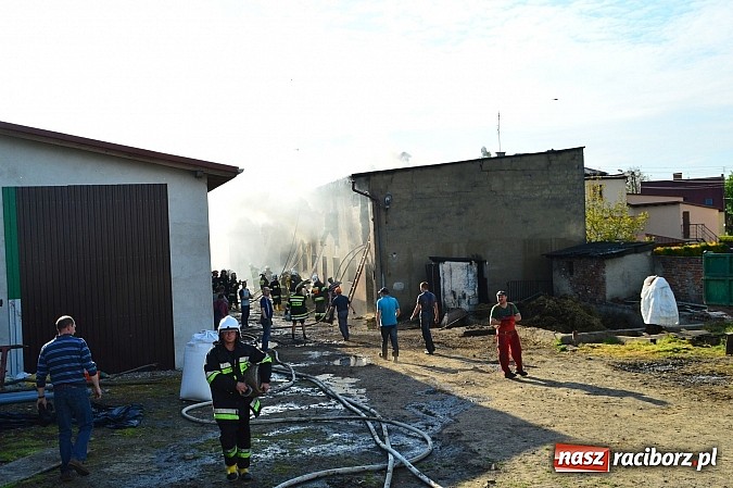 Zdjęcie w galerii na portalu naszraciborz.pl: Pożar stodoły w Borucinie. Podczas akcji strażacy musieli ewakuować zwierzęta wiadomości z regionu