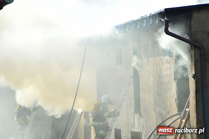 Zdjęcie w galerii na portalu naszraciborz.pl: Pożar stodoły w Borucinie. Podczas akcji strażacy musieli ewakuować zwierzęta wiadomości z regionu