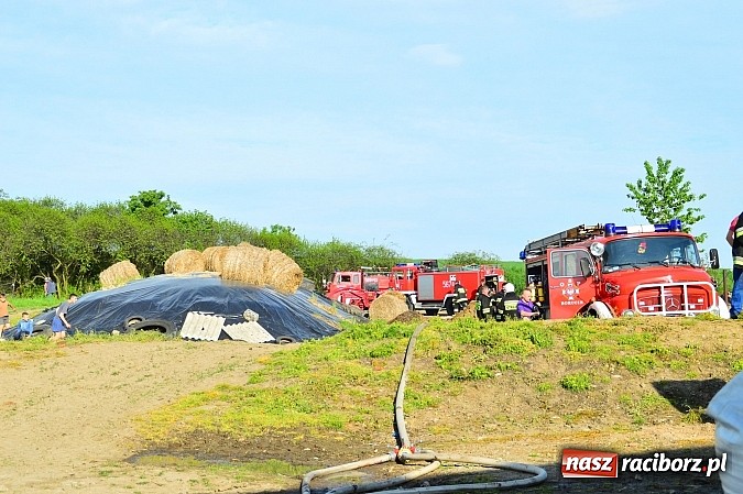 Zdjęcie w galerii na portalu naszraciborz.pl: Pożar stodoły w Borucinie. Podczas akcji strażacy musieli ewakuować zwierzęta wiadomości z regionu