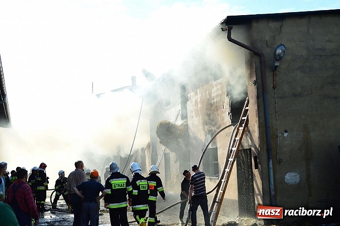 Zdjęcie w galerii na portalu naszraciborz.pl: Pożar stodoły w Borucinie. Podczas akcji strażacy musieli ewakuować zwierzęta wiadomości z regionu