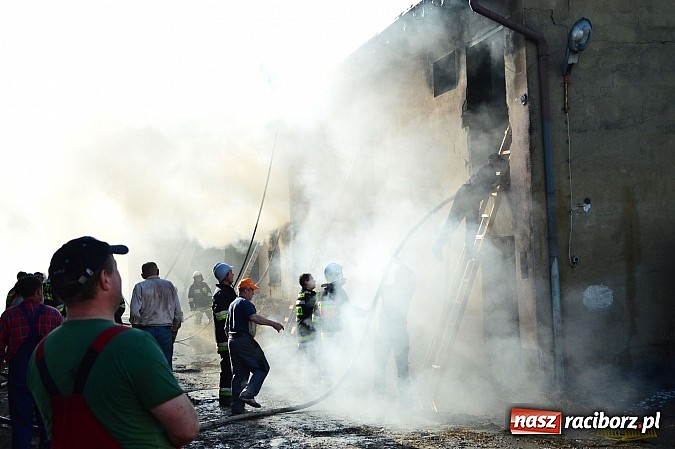 Zdjęcie w galerii na portalu naszraciborz.pl: Pożar stodoły w Borucinie. Podczas akcji strażacy musieli ewakuować zwierzęta wiadomości z regionu