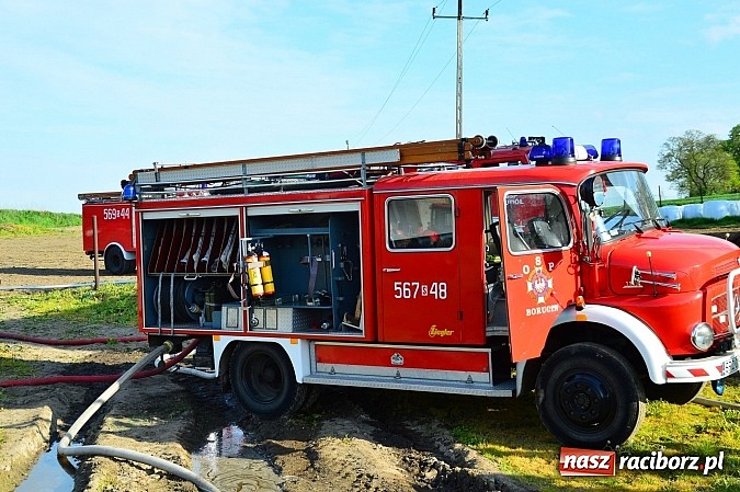 Zdjęcie w galerii na portalu naszraciborz.pl: Pożar stodoły w Borucinie. Podczas akcji strażacy musieli ewakuować zwierzęta wiadomości z regionu
