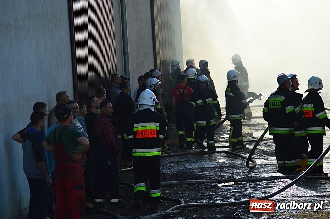 Zdjęcie w galerii na portalu naszraciborz.pl: Pożar stodoły w Borucinie. Podczas akcji strażacy musieli ewakuować zwierzęta wiadomości z regionu
