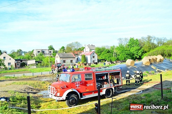 Zdjęcie w galerii na portalu naszraciborz.pl: Pożar stodoły w Borucinie. Podczas akcji strażacy musieli ewakuować zwierzęta wiadomości z regionu