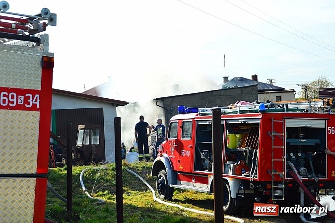 Zdjęcie w galerii na portalu naszraciborz.pl: Pożar stodoły w Borucinie. Podczas akcji strażacy musieli ewakuować zwierzęta wiadomości z regionu