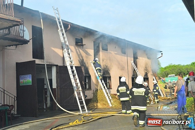 Zdjęcie w galerii na portalu naszraciborz.pl: Pożar stodoły w Borucinie. Podczas akcji strażacy musieli ewakuować zwierzęta wiadomości z regionu