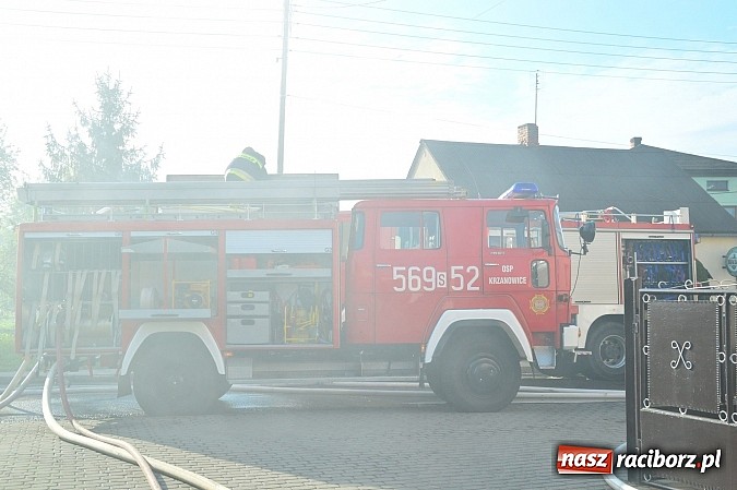 Zdjęcie w galerii na portalu naszraciborz.pl: Pożar stodoły w Borucinie. Podczas akcji strażacy musieli ewakuować zwierzęta wiadomości z regionu
