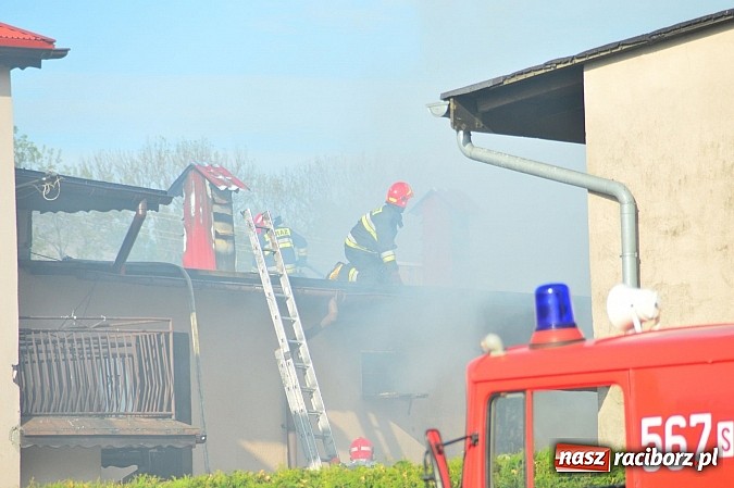 Zdjęcie w galerii na portalu naszraciborz.pl: Pożar stodoły w Borucinie. Podczas akcji strażacy musieli ewakuować zwierzęta wiadomości z regionu