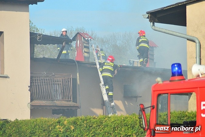 Zdjęcie w galerii na portalu naszraciborz.pl: Pożar stodoły w Borucinie. Podczas akcji strażacy musieli ewakuować zwierzęta wiadomości z regionu