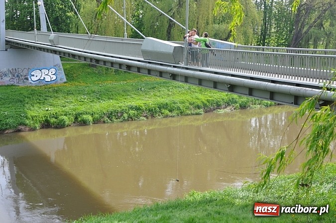 Zdjęcie w galerii na portalu naszraciborz.pl: Warsztaty terenowe w Budowlance – hydrologia w praktyce  wiadomości z regionu