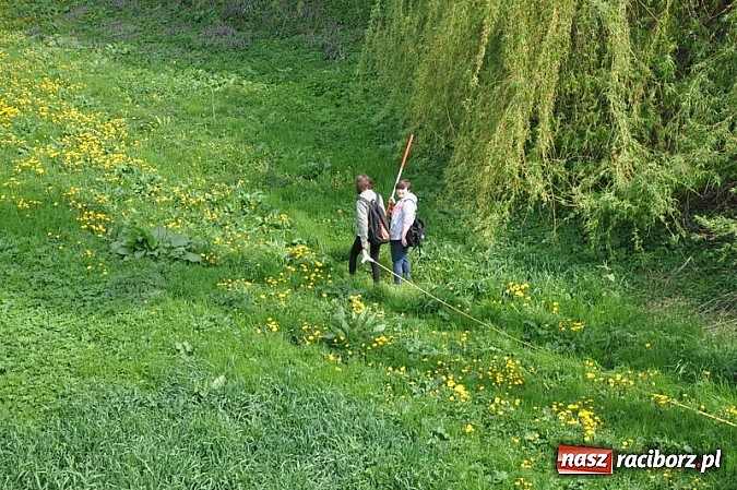 Zdjęcie w galerii na portalu naszraciborz.pl: Warsztaty terenowe w Budowlance – hydrologia w praktyce  wiadomości z regionu