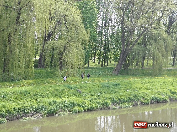 Zdjęcie w galerii na portalu naszraciborz.pl: Warsztaty terenowe w Budowlance – hydrologia w praktyce  wiadomości z regionu