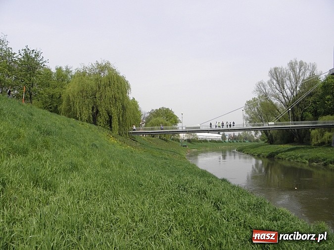 Zdjęcie w galerii na portalu naszraciborz.pl: Warsztaty terenowe w Budowlance – hydrologia w praktyce  wiadomości z regionu
