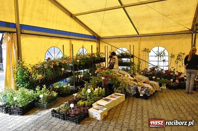 Zdjęcie w galerii na portalu naszraciborz.pl: Ruszyła 15. pietrowicka Eko-Wystawa. Warto odwiedzić stoiska. Bogaty program artystyczny wiadomości z regionu