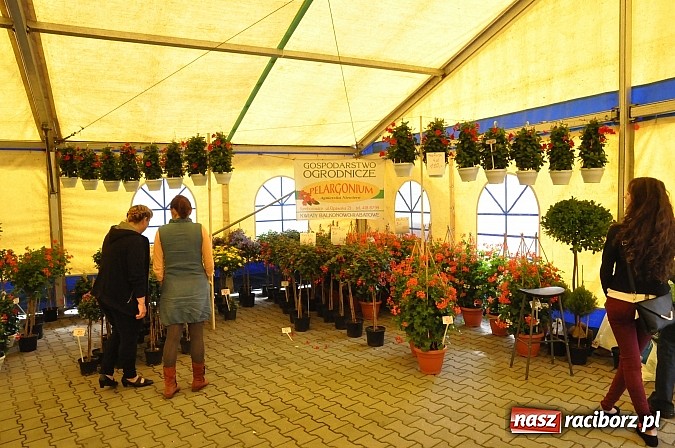 Zdjęcie w galerii na portalu naszraciborz.pl: Ruszyła 15. pietrowicka Eko-Wystawa. Warto odwiedzić stoiska. Bogaty program artystyczny wiadomości z regionu