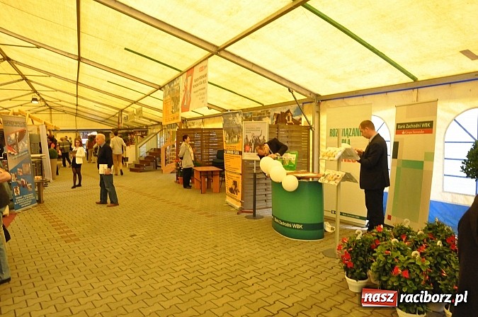 Zdjęcie w galerii na portalu naszraciborz.pl: Ruszyła 15. pietrowicka Eko-Wystawa. Warto odwiedzić stoiska. Bogaty program artystyczny wiadomości z regionu