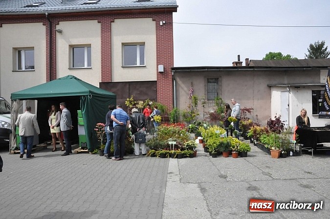 Zdjęcie w galerii na portalu naszraciborz.pl: Ruszyła 15. pietrowicka Eko-Wystawa. Warto odwiedzić stoiska. Bogaty program artystyczny wiadomości z regionu