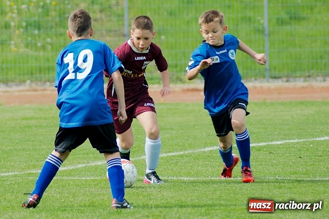 Zdjęcie w galerii na portalu naszraciborz.pl: Tak się bawi i wygrywa Racibórz! Młodzi Unici pokonali Jastrzębie wiadomości z regionu
