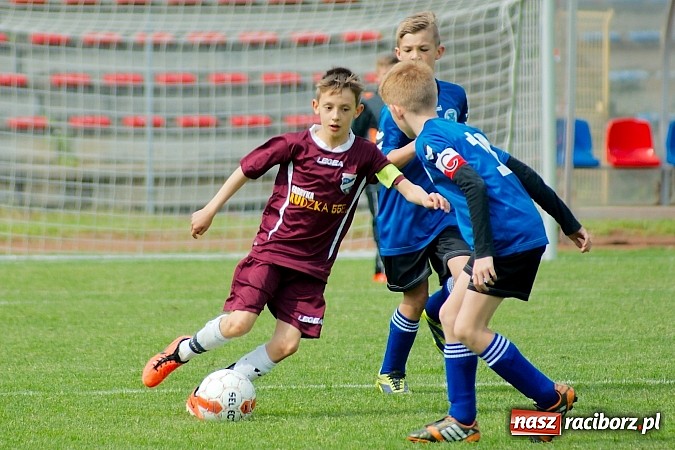 Zdjęcie w galerii na portalu naszraciborz.pl: Tak się bawi i wygrywa Racibórz! Młodzi Unici pokonali Jastrzębie wiadomości z regionu