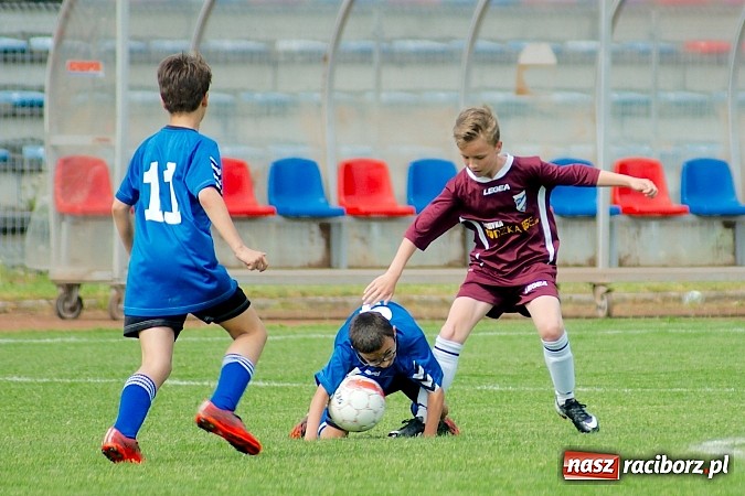Zdjęcie w galerii na portalu naszraciborz.pl: Tak się bawi i wygrywa Racibórz! Młodzi Unici pokonali Jastrzębie wiadomości z regionu