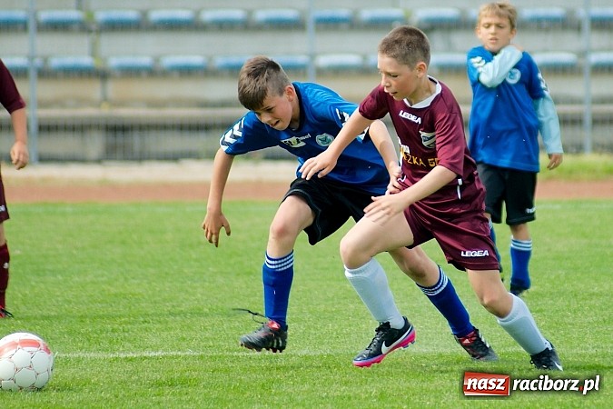 Zdjęcie w galerii na portalu naszraciborz.pl: Tak się bawi i wygrywa Racibórz! Młodzi Unici pokonali Jastrzębie wiadomości z regionu