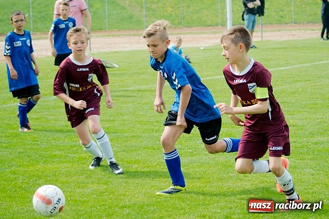 Zdjęcie w galerii na portalu naszraciborz.pl: Tak się bawi i wygrywa Racibórz! Młodzi Unici pokonali Jastrzębie wiadomości z regionu