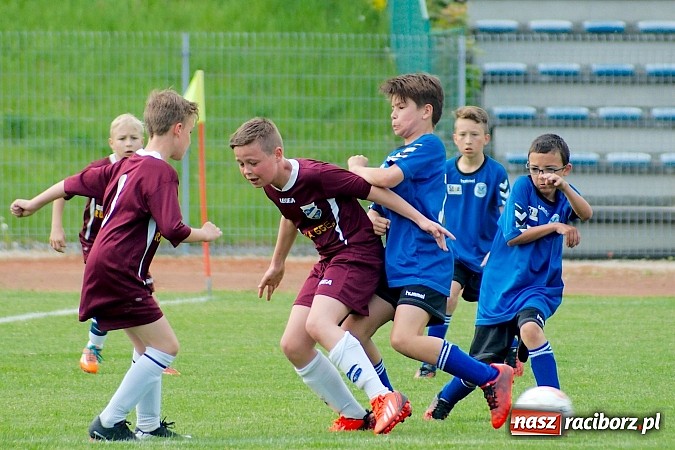 Zdjęcie w galerii na portalu naszraciborz.pl: Tak się bawi i wygrywa Racibórz! Młodzi Unici pokonali Jastrzębie wiadomości z regionu