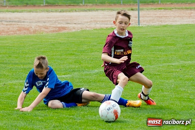 Zdjęcie w galerii na portalu naszraciborz.pl: Tak się bawi i wygrywa Racibórz! Młodzi Unici pokonali Jastrzębie wiadomości z regionu