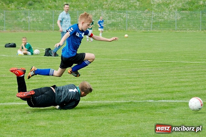 Zdjęcie w galerii na portalu naszraciborz.pl: Tak się bawi i wygrywa Racibórz! Młodzi Unici pokonali Jastrzębie wiadomości z regionu