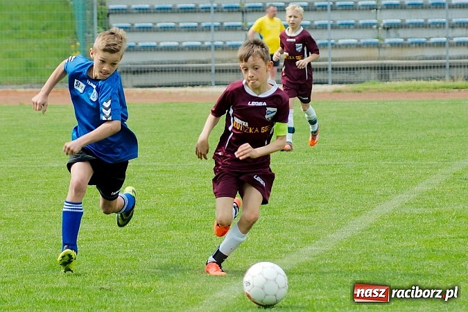 Zdjęcie w galerii na portalu naszraciborz.pl: Tak się bawi i wygrywa Racibórz! Młodzi Unici pokonali Jastrzębie wiadomości z regionu