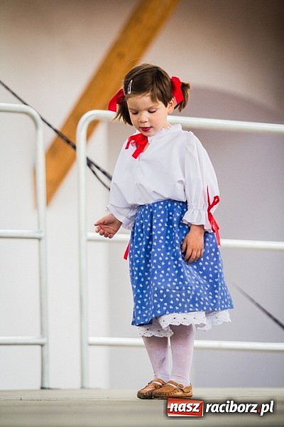 Zdjęcie w galerii na portalu naszraciborz.pl: Święto Subregionu Zachodniego Województwa Śląskiego na Zamku Piastowskim w Raciborzu wiadomości z regionu