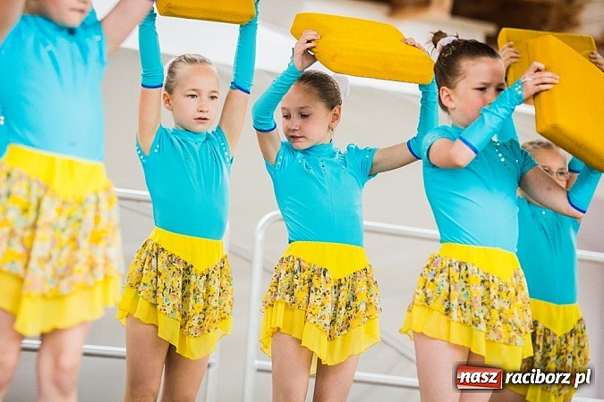 Zdjęcie w galerii na portalu naszraciborz.pl: Święto Subregionu Zachodniego Województwa Śląskiego na Zamku Piastowskim w Raciborzu wiadomości z regionu